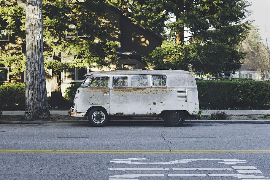 gray bus beside pavement during daytime, white van beside green tree HD wallpaper