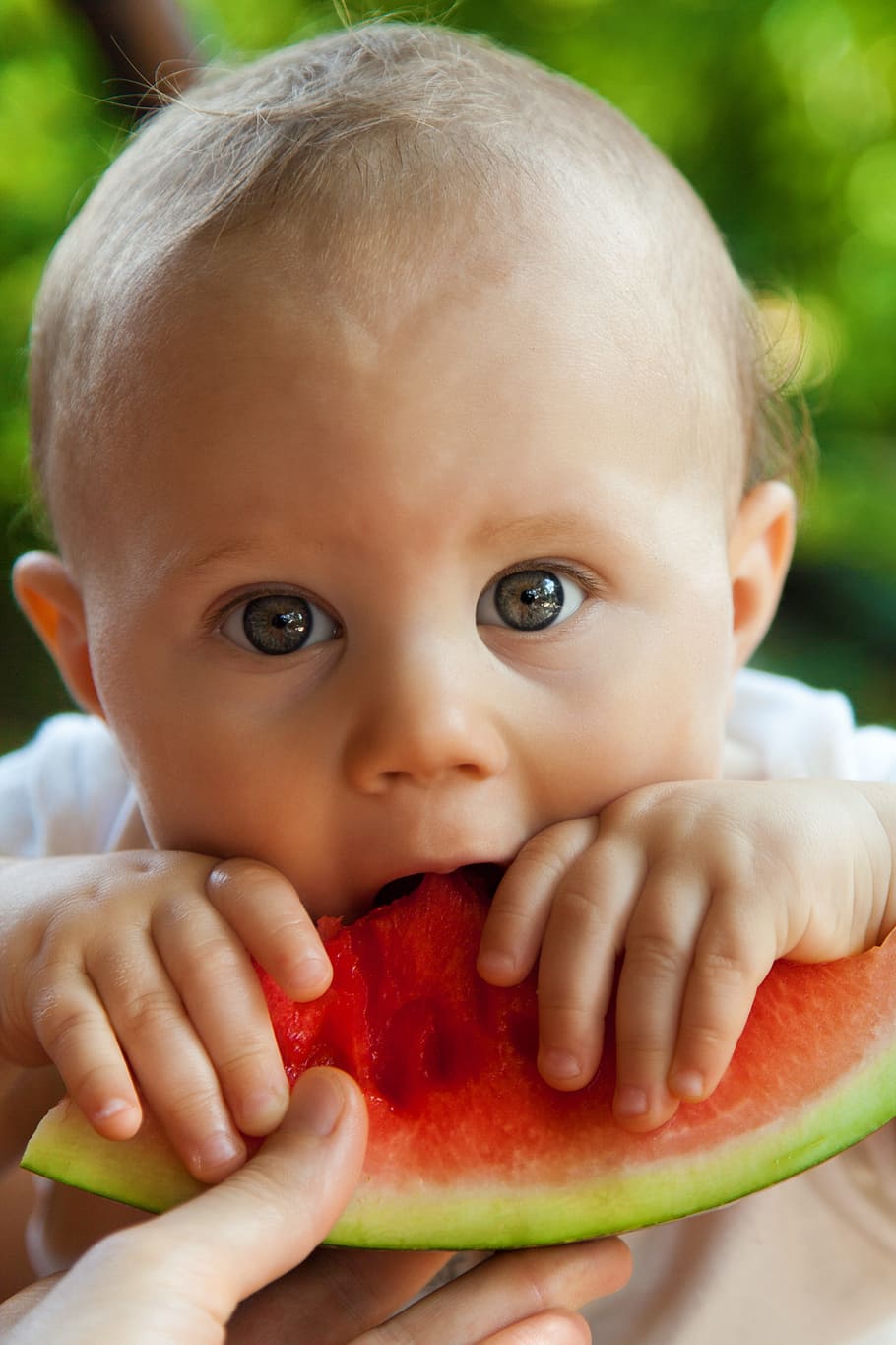 baby eating watermelon, bite, boy, child, cute, food, fruit HD wallpaper