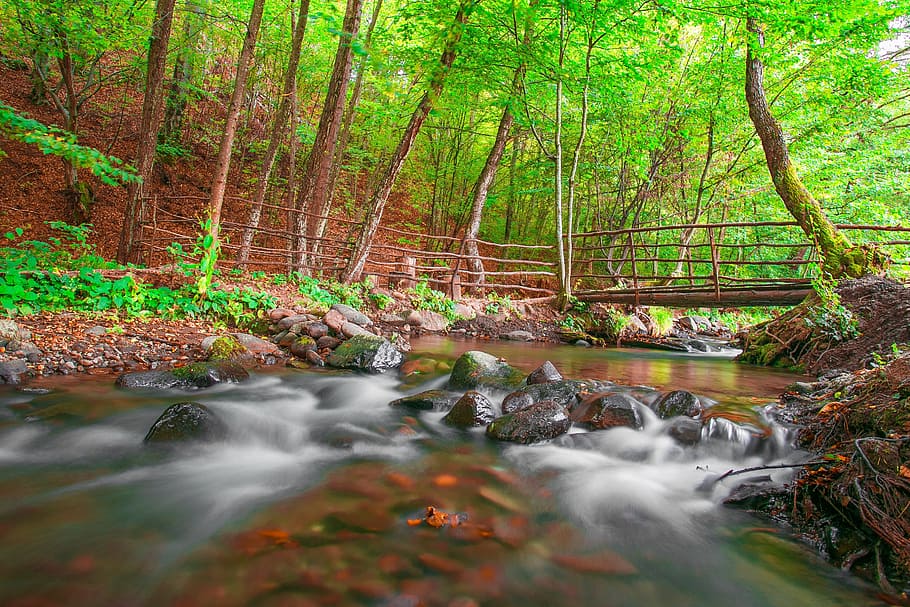 mountain, trees, green, plants, forest, stream, water, nature HD wallpaper