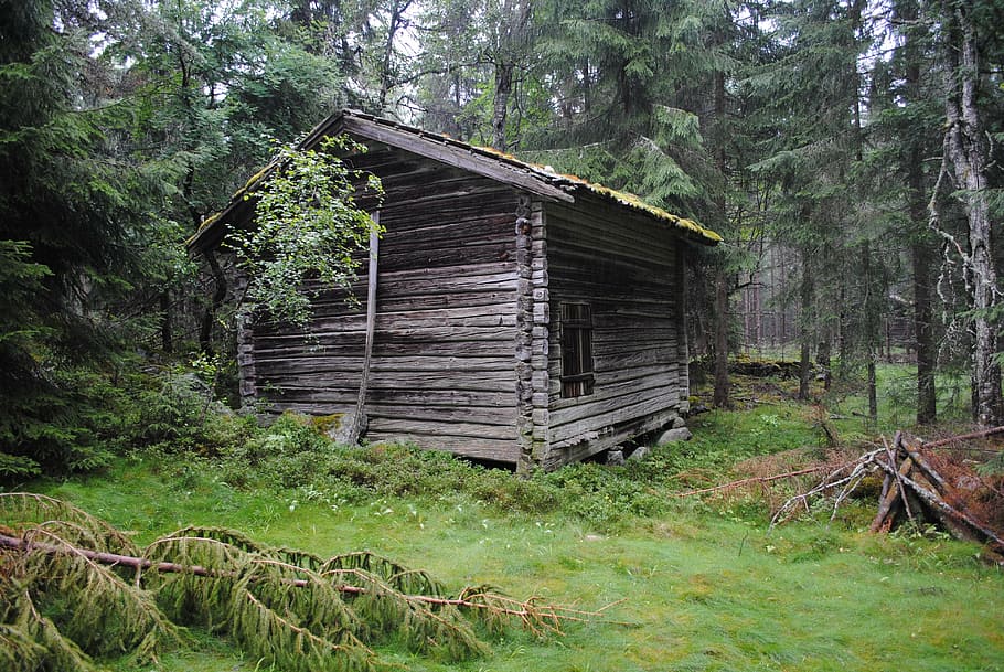 barn, floberget, dala, floda, sweden, woods, remote, historic HD wallpaper