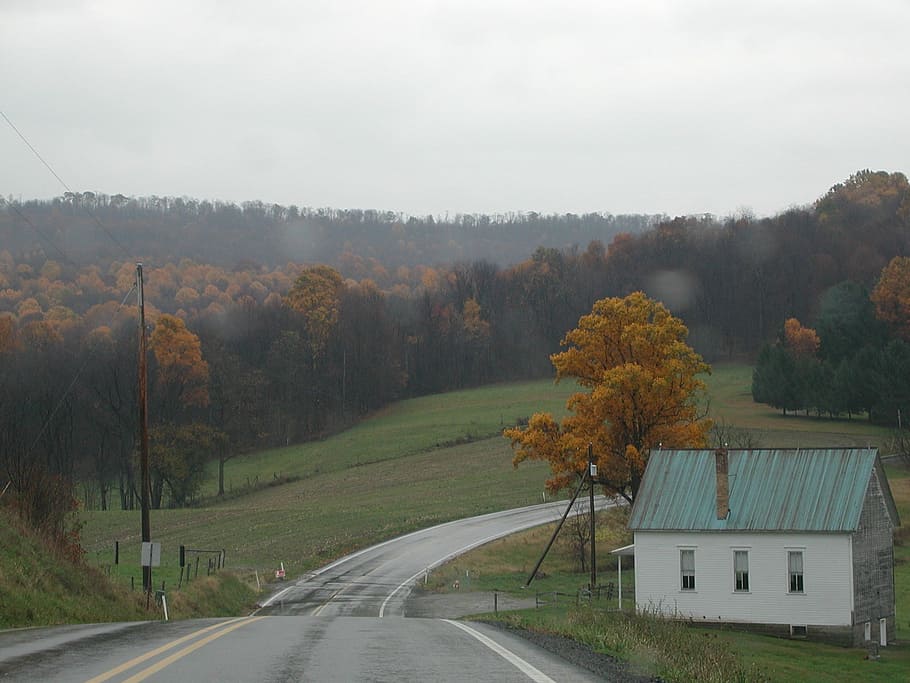 country road, fall, forest, autumn, nature, tree, rural Scene HD wallpaper