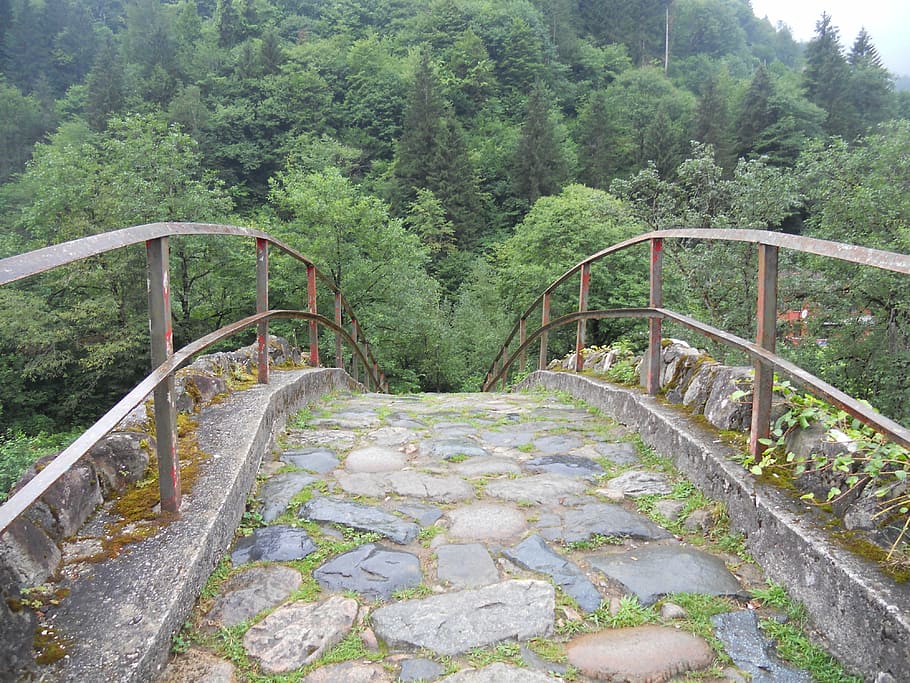 stone, bridge, old, rock, nature, footpath, outdoors, forest HD wallpaper