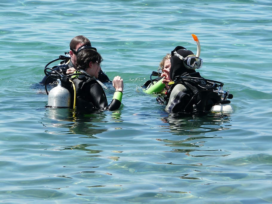 sea, divers, diving, checking, water, persons, scuba diving HD wallpaper