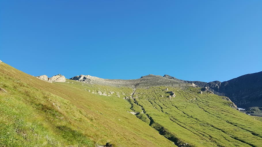 rocciamelone, alps, mountain, sky, pasture, altitude, prato HD wallpaper