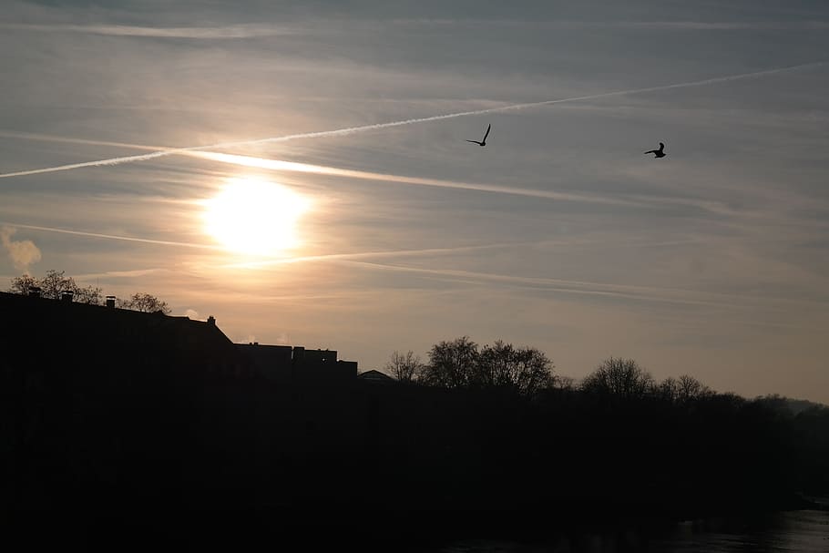 Sunset, Birds, Fly, Contrail, Sky, clouds, golden, sparkle HD wallpaper