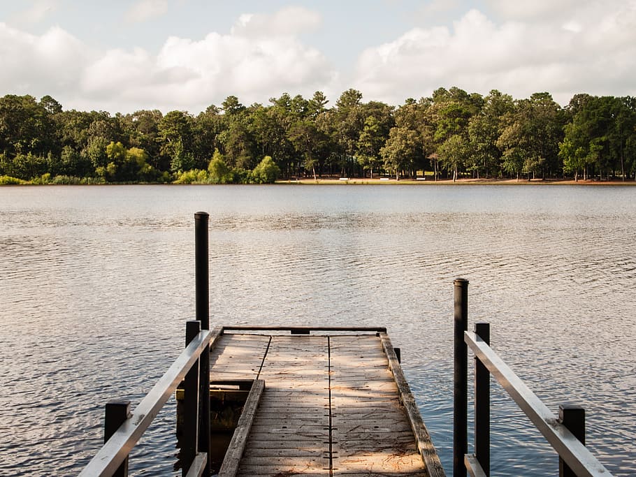 brown wooden pier on body of water, lake, dock, state park HD wallpaper