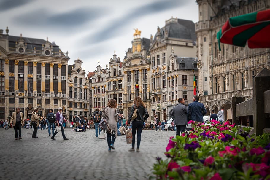 lot of people walking surrounded by buildings, brussels, grote markt, HD wallpaper