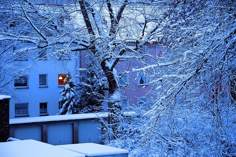 winter, snow, trees, home, garages, ruhr area, backyard, cold temperature HD wallpaper