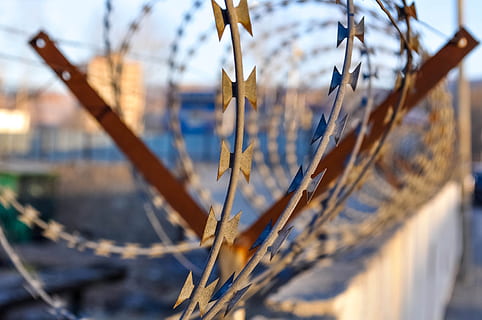 close up photo of barbwires, barbed wire, security, sharp, barrier HD wallpaper
