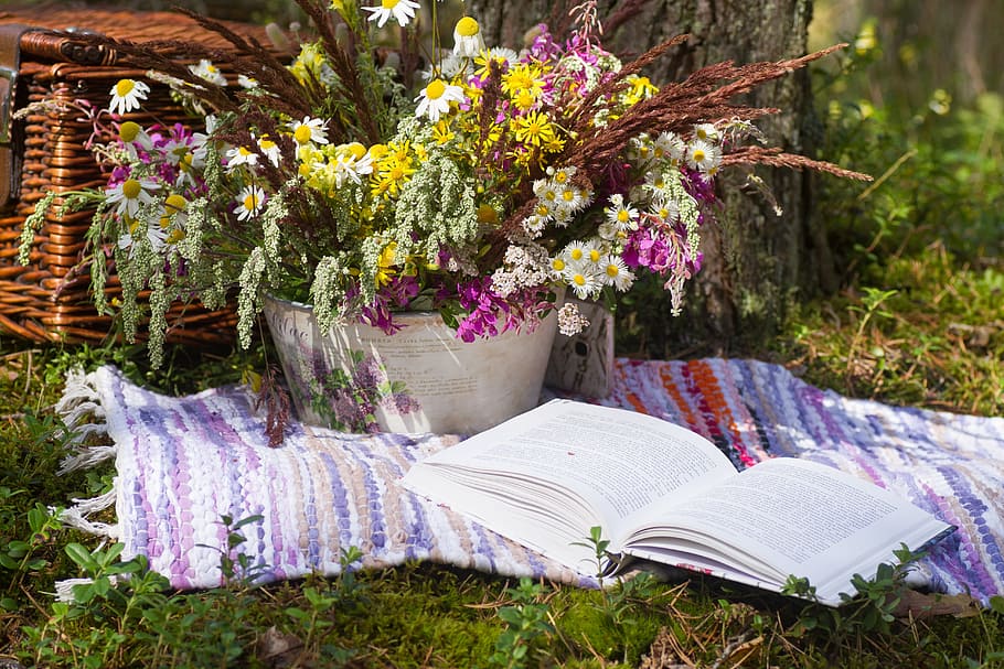 yellow, white, and pink flowers in round white pot beside white book, HD wallpaper