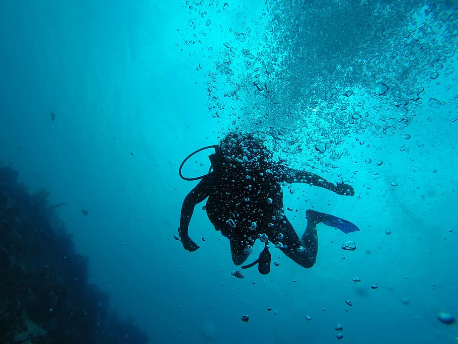 scuba, bubbles, underwater, scuba Diving, sea, underwater Diving HD wallpaper
