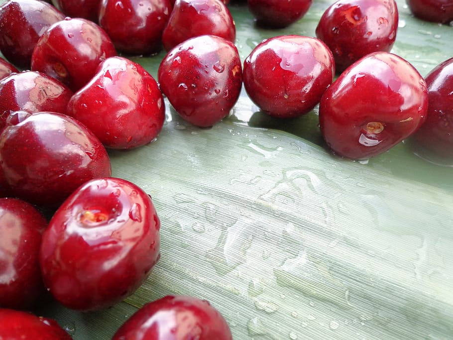 sour cherry, reed, summer, fruit, food and drink, healthy eating HD wallpaper