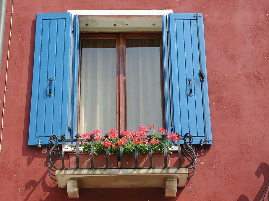 window, facade, painted, colorful, shutter, italy, flowering plant HD wallpaper