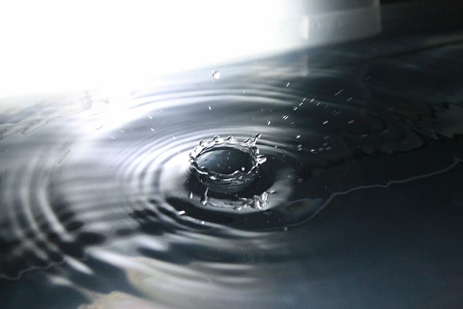 Water, Drop, Liquid, Splash, blue, water drop, water drops HD wallpaper