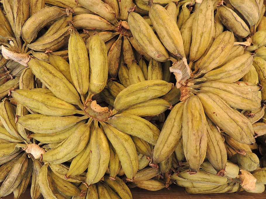 Bananas, Dried, Texture, Pattern, Food, eat, fruit, nature HD wallpaper