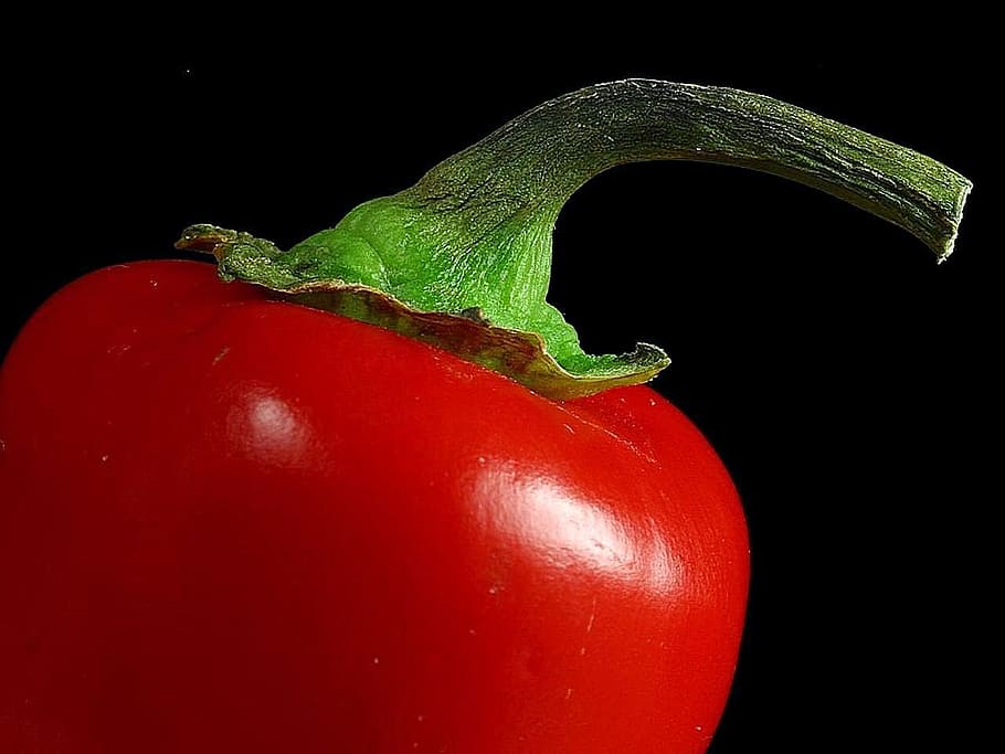 stems, red, peppers, vegetables, plants, flora, food and drink HD wallpaper