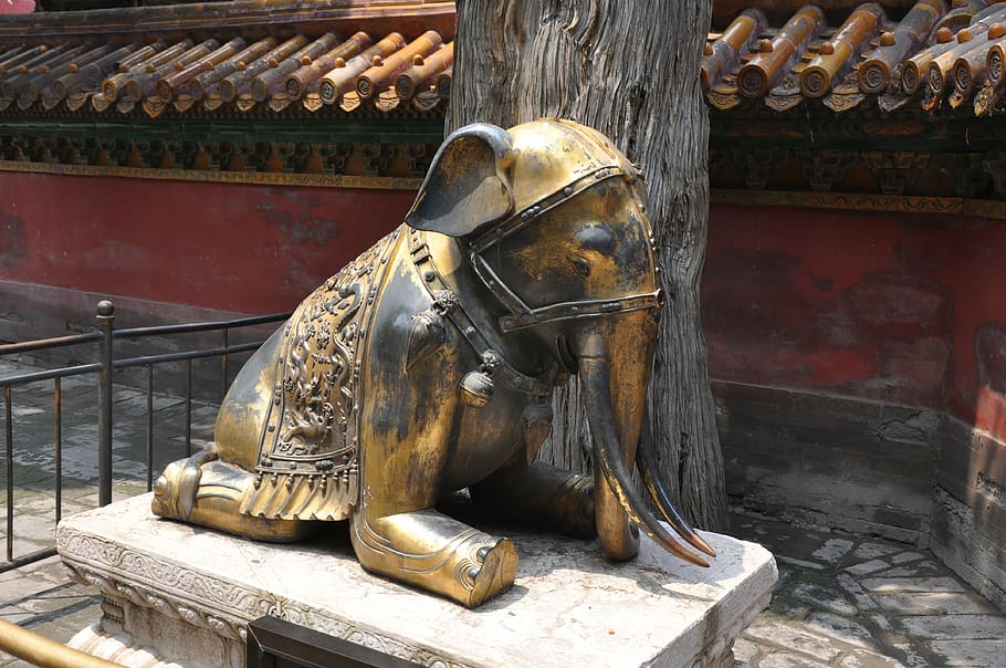 elephant, china, temple, asia, statue, gold, sculpture, art and craft HD wallpaper