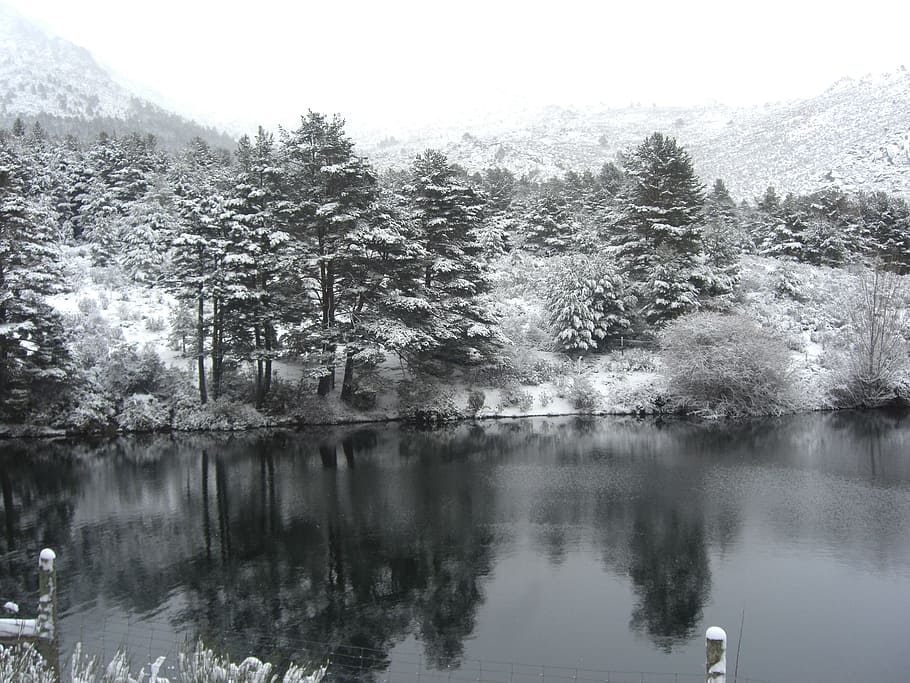 snow, winter, lake, spain, cold, nature, tree, reflection, water HD wallpaper