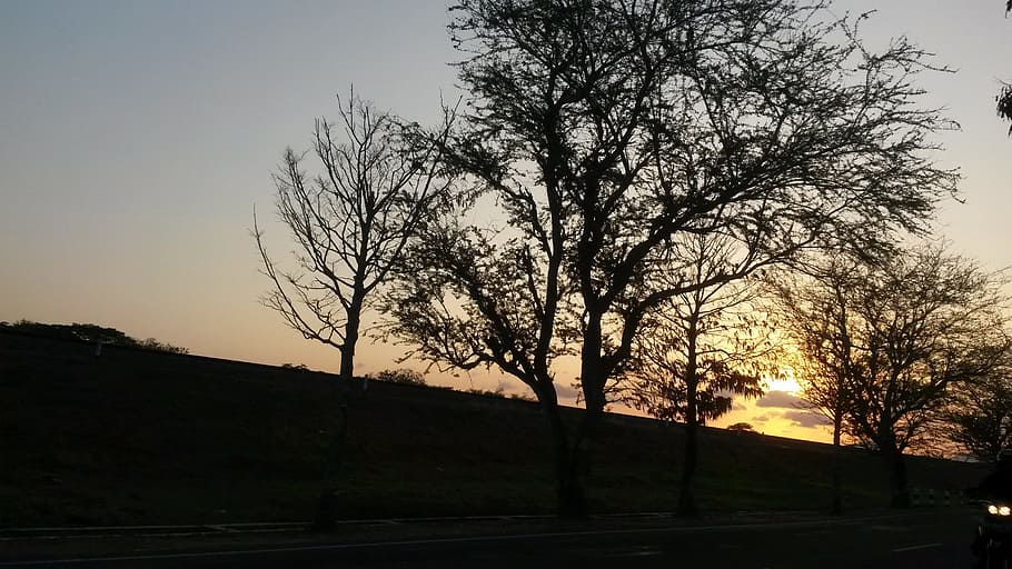 sunset, railroad, the tree, sky, silhouette, plant, nature HD wallpaper