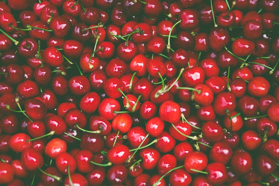 cherry lot, red berries, fruit, food, fresh, stem, sweet, juicy HD wallpaper