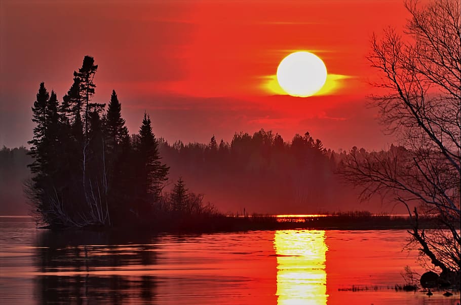 pine tree silhouette during golden hour, Sunset, Landscape HD wallpaper