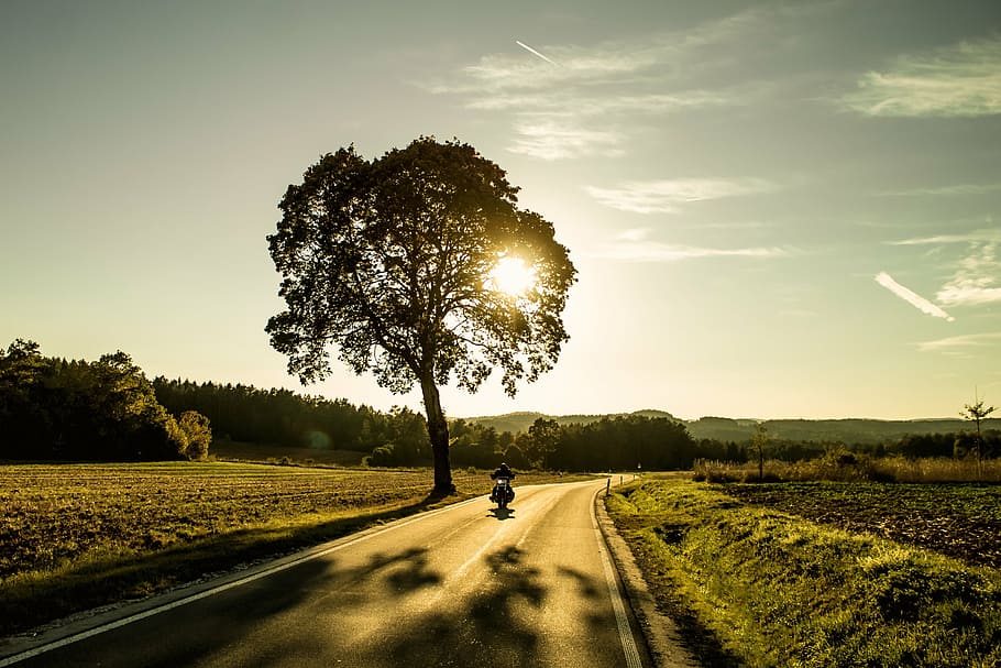 silhouette photo of tree near highway, motorcycle, sunset, evening HD wallpaper