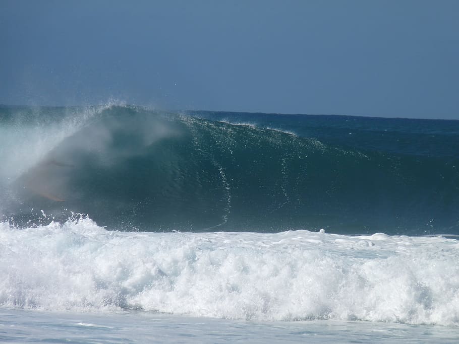 Wave, Surfer, Pacific, Hawaii, water sports, beach, summer HD wallpaper