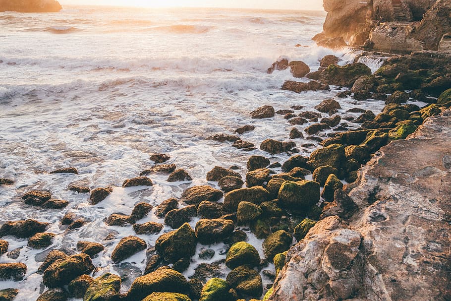 seashore, brown rock in shoreline photography, water, ocean, stone HD wallpaper