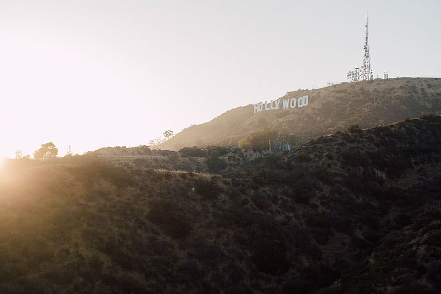 Holly Wood, California, Hollywood Hills, Los Angeles, white, wooden HD wallpaper