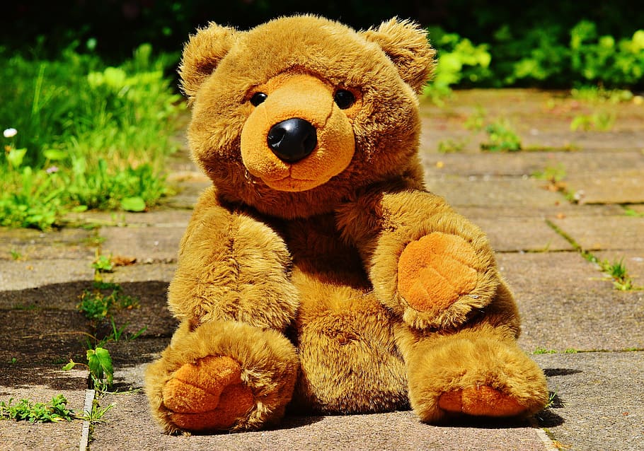 Teddy, Bear, Bears, Toys, Children, soft toy, plush, cute, sweet HD wallpaper