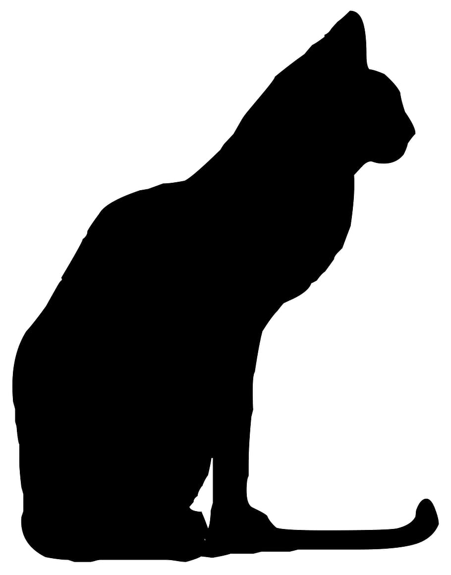 photo of black cat art, animal, silhouette, mammal, isolated