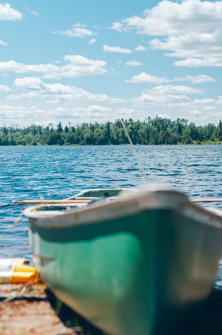 closeup photo of green clinker boat, tree, forest, lake, color HD wallpaper