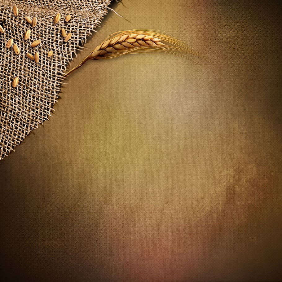 golden, background, indoors, no people, textured, vignette HD wallpaper