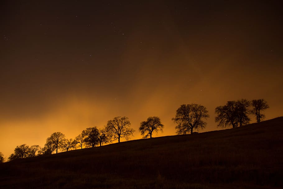 trees on top of hill, silhouette of trees on hilltops during sunset HD wallpaper
