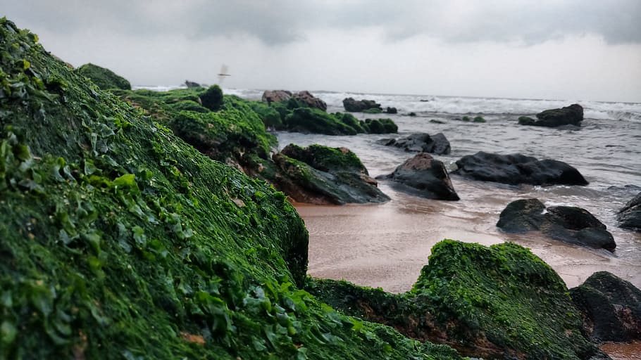 beach, stones, green, clouds, water, sea, rock, cloud - sky HD wallpaper
