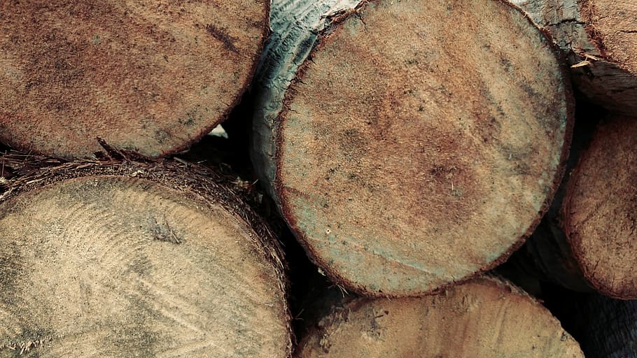 log, firewood, timber, fell, lumber, bark, nature, tree, desktop HD wallpaper
