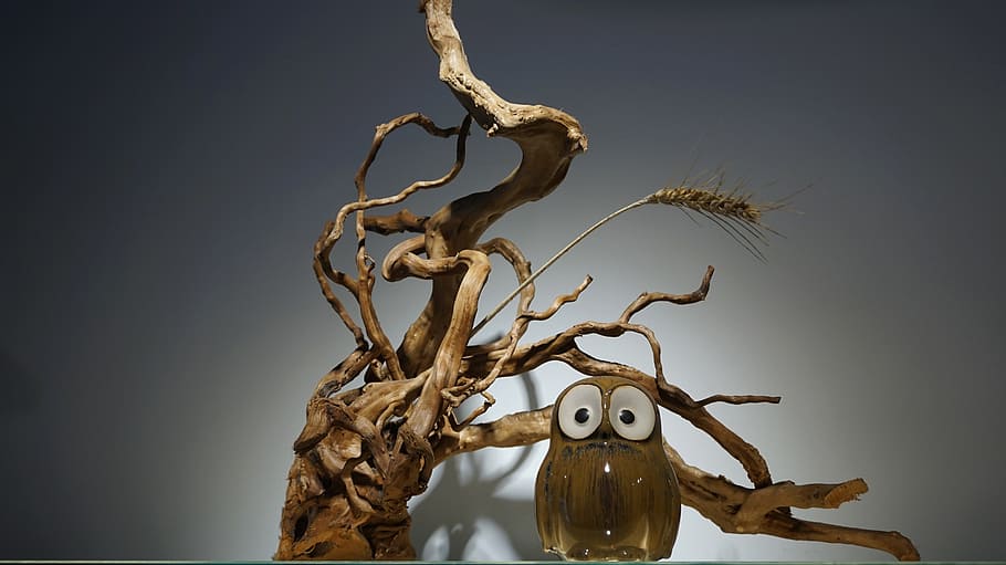 device, owl, deadwood, decoration, tree, branch, plant, nature, HD wallpaper