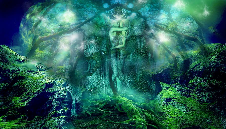 tree, people, passion, beauty in nature, water, green color HD wallpaper