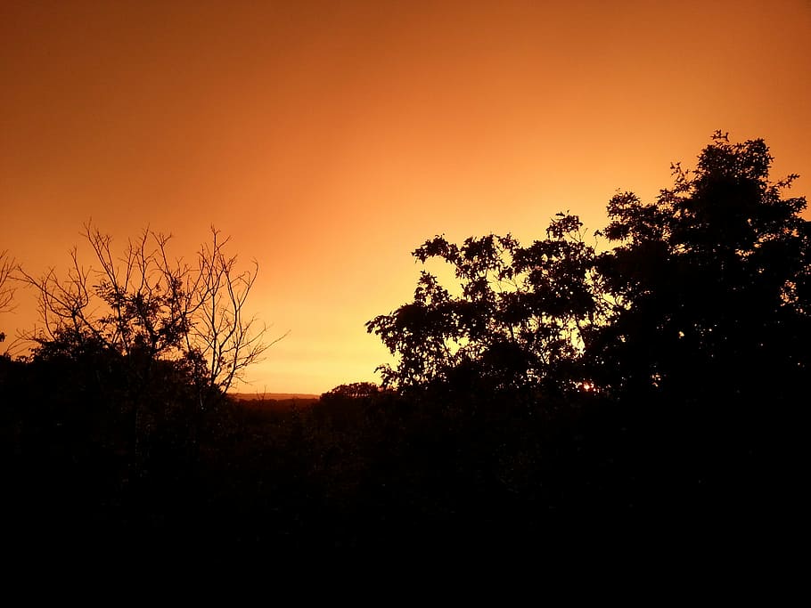 sunset, summer sky, orange, storm, sunlight, cloudscape, silhouette HD wallpaper