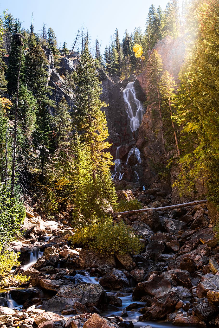 waterfalls with trees at daytime, waterfalls surrounded with trees HD wallpaper