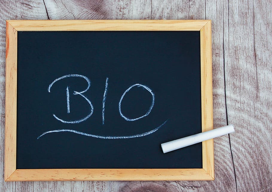 chalk on top of black board, bio, blackboard, slate, concept HD wallpaper