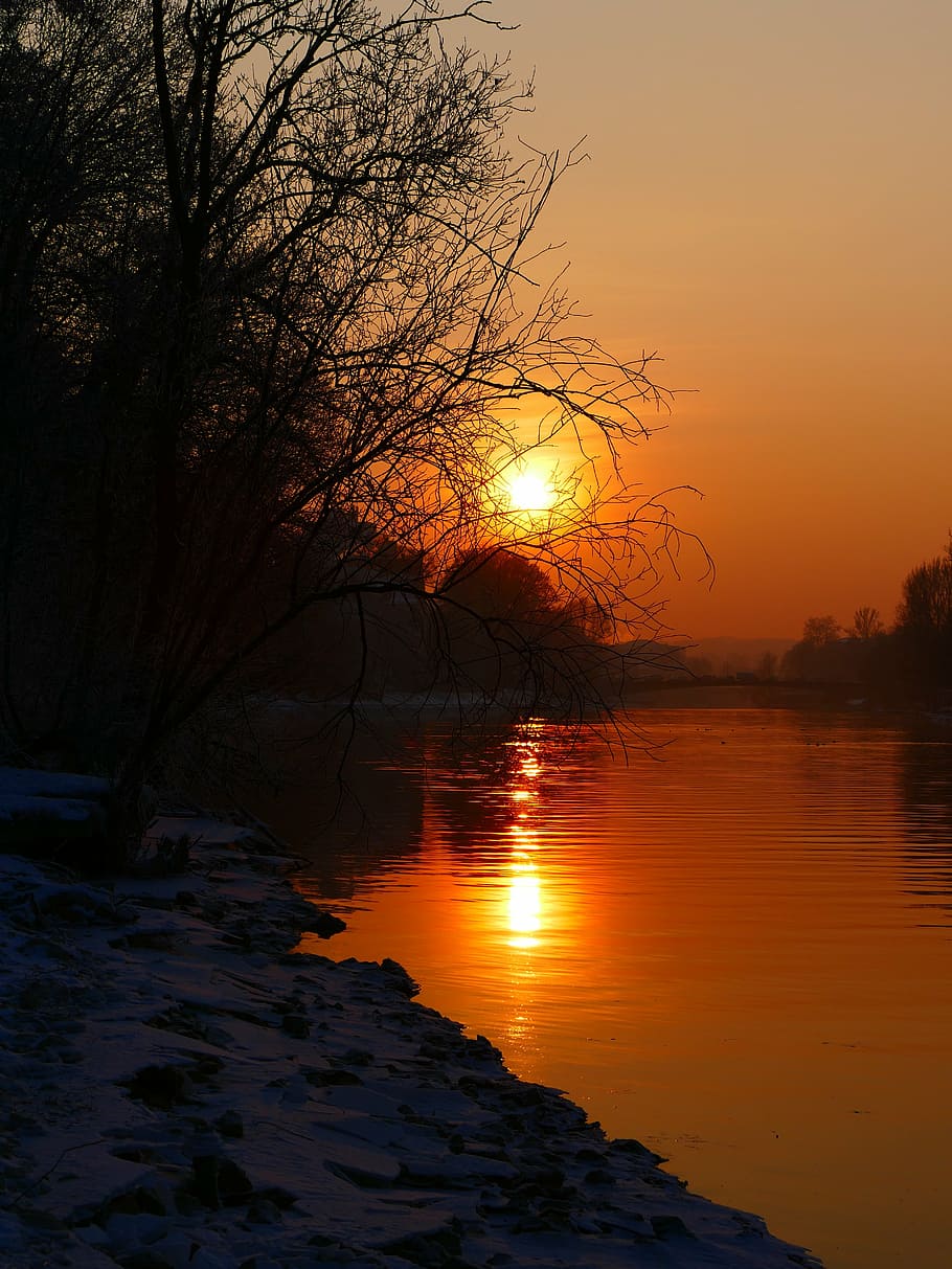 silhouette of withered tree near body of water, sunset, winter HD wallpaper