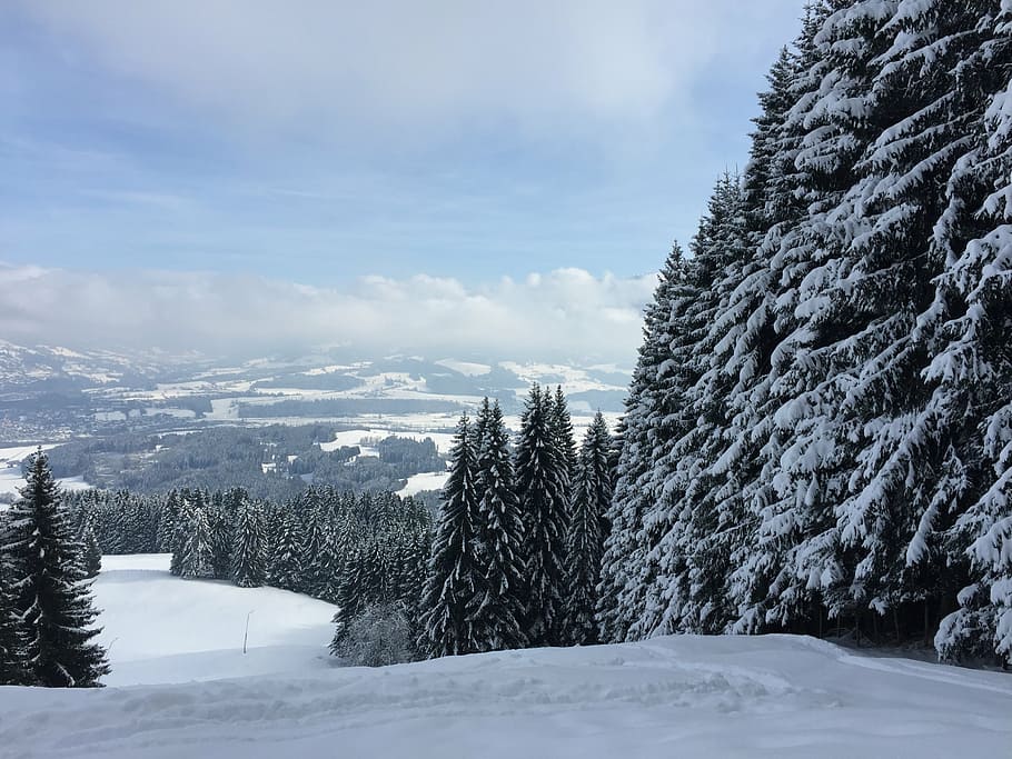 winter, landscape, mountains, snow, trees, frost, nature, cold temperature HD wallpaper
