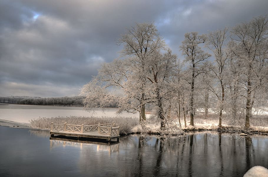 winter, nääs, hdr, water, tree, reflection, plant, cloud - sky HD wallpaper