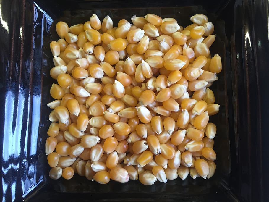 popcorn, kernels, food, snack, healthy, movie, sweet, salty HD wallpaper