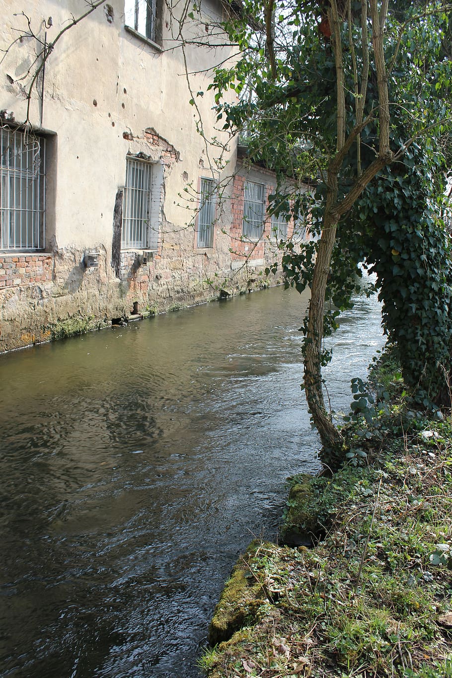 home, bach, river, water, window, building, nature, tree, ivy HD wallpaper
