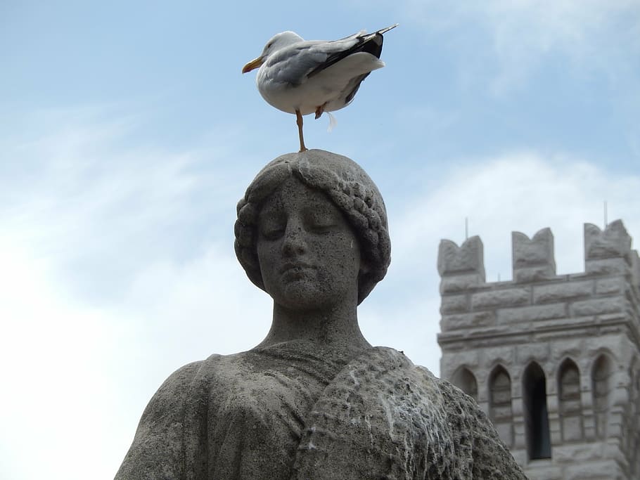 seagull, stature, monte carlo, monaco, sky, statue, architecture, HD wallpaper