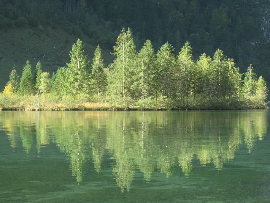 King Lake, Reflections, Mountains, alpine, tree, nature, water HD wallpaper