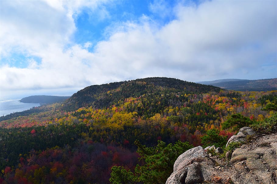 mountain, trees, nature, landscape, coast, sky, clouds, outdoor HD wallpaper