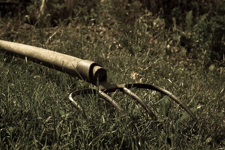 background, pitchfork, nature, plant, grass, no people, day HD wallpaper